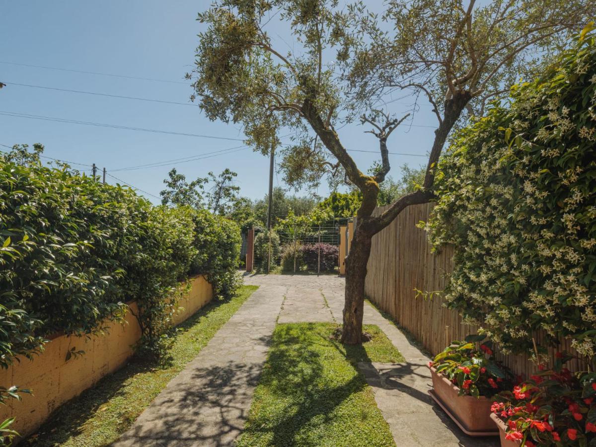 Massa Holiday Home Giuliana By Interhome מראה חיצוני תמונה